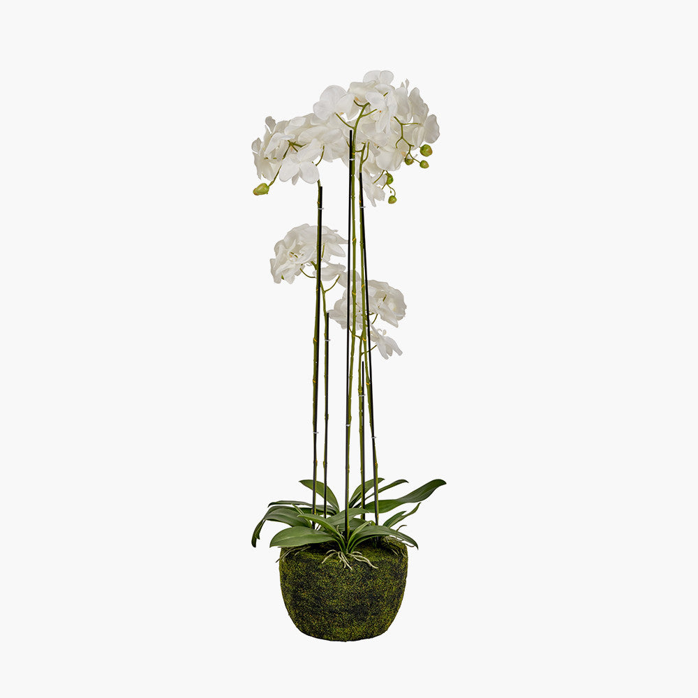 Artificial Tall White Orchid in Moss Pot